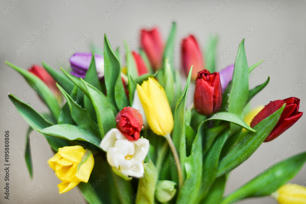 Obraz premium Flower background: bouquet of colorful tulips in a glass vase on a natural wooden background, postcard, mocap for mother's day greetings, international women's day