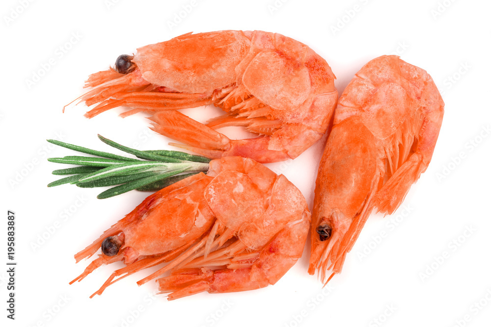 Red cooked prawn or shrimp with rosemary isolated on white background Red cooked prawn or shrimp with rosemary isolated on white background