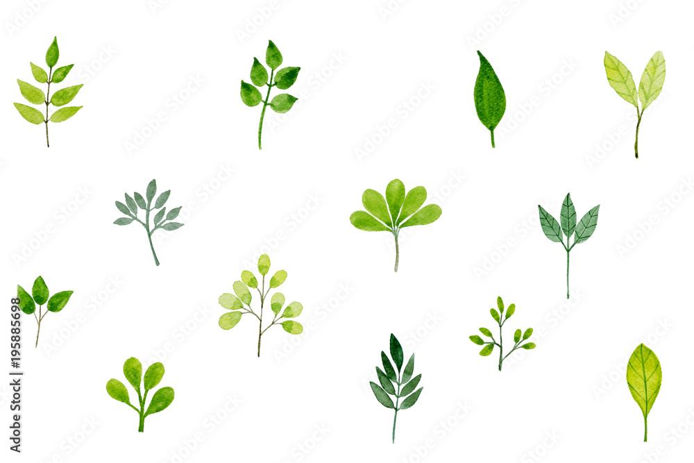 Pattern With Green Leaves In Watercolor Pattern With Green Leaves In Watercolor