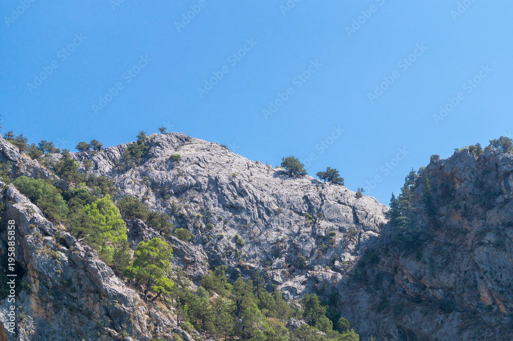 Riesiges Gebirge mit grünen Bäumen vor blauem Himmel 