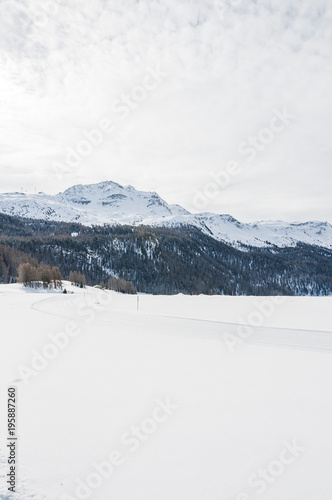 Surlej  Corvatsch  Alpen  Piz Surlej  Piz Corvatsch  Engadin  Oberengadin  Winter  Wintersport   Langlauf  Winterwanderweg  Graub  nden  Schweiz