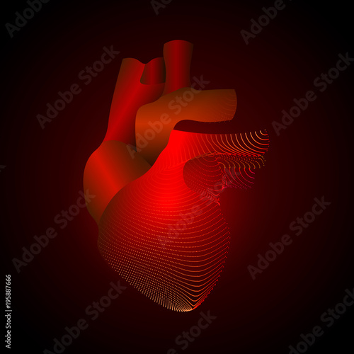 Heart with a point of pain. Stylized transition from a real organ to an X-ray effect. Medical illustration of heart disease