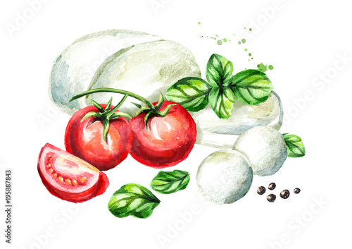 Mozzarella cheese with Basil and tomatoes. Watercolor hand drawn illustration, isolated on white background
