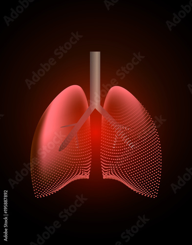 Lungs with a point of pain. Stylized transition from a real organ to an X-ray effect. Medical illustration of lung diseases