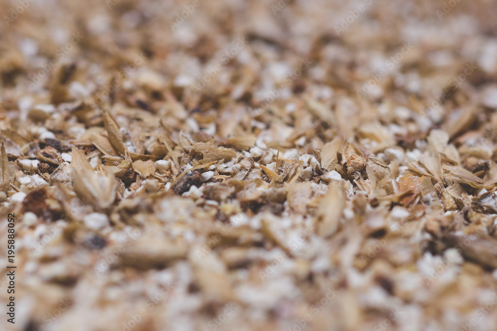 Grinded grains of barley malt close-up. Craft beer brewing from grain barley pale malt in process. Ale or lager from pilsner malt. Grinded grains of barley malt close-up. Craft beer brewing from grain barley pale malt in process. Ale or lager from pilsner malt.