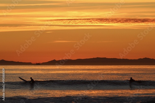 silhouettes of surfers during a california sunset