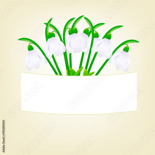 illustration snowdrops on a beige background