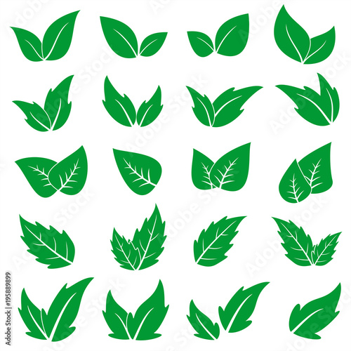 Green leaf icons set. Vector graphic illustration.