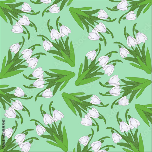 pattern from snowdrops on a light green background