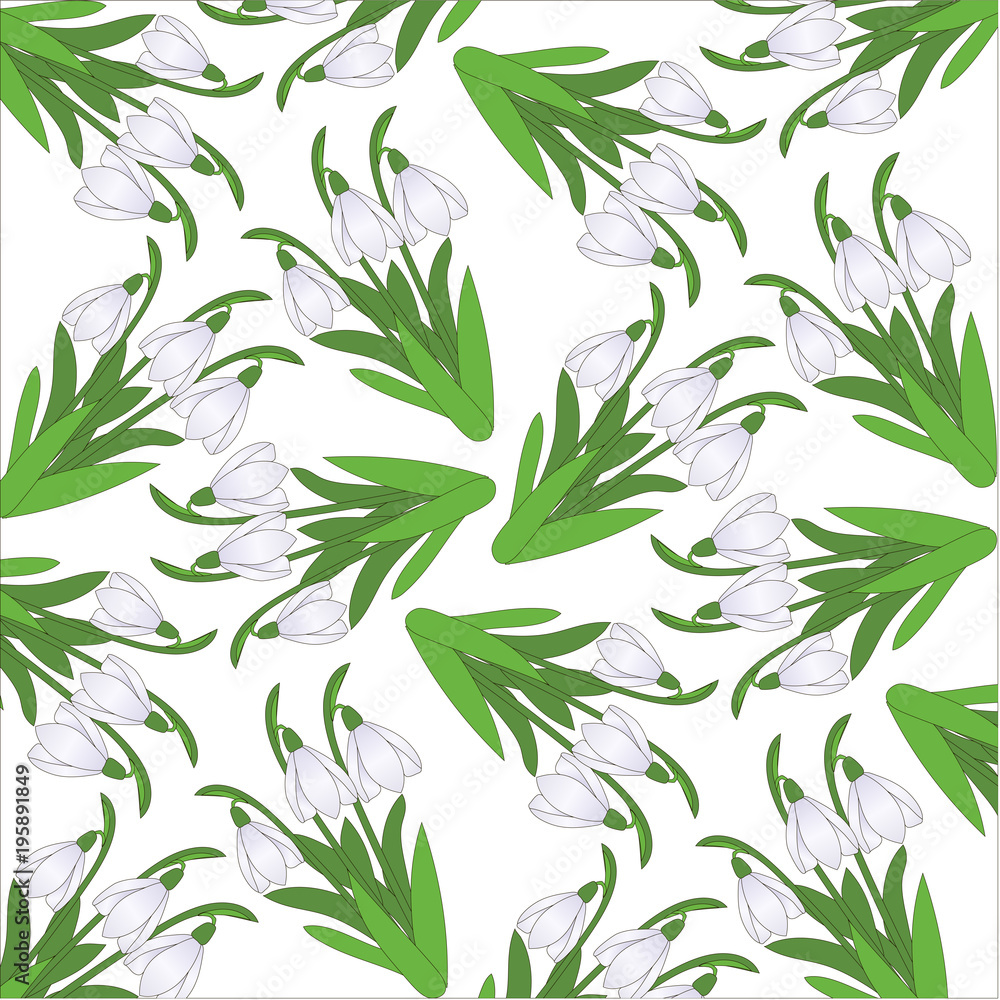 pattern from snowdrops on a white background. pattern from snowdrops on a white background.