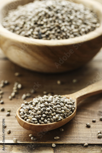 cannabis seeds in a plate and spoon
