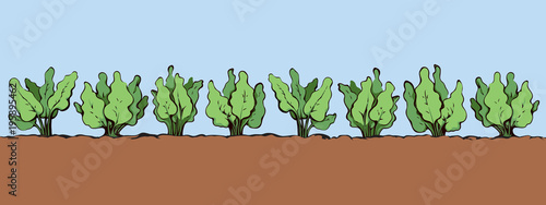 Garden beds. Vector drawing