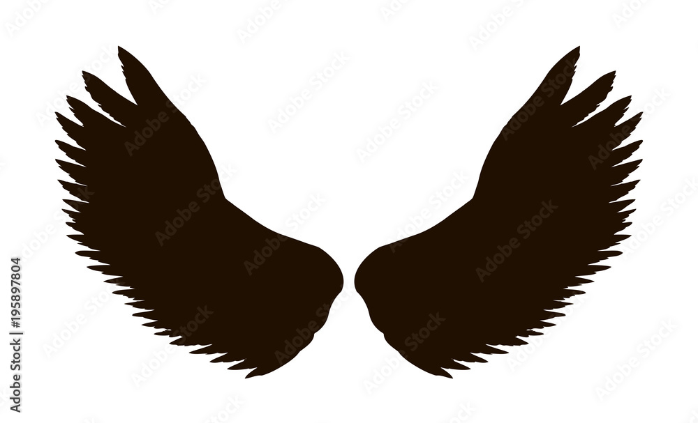 Obraz premium Outstretched wings. Vector drawing