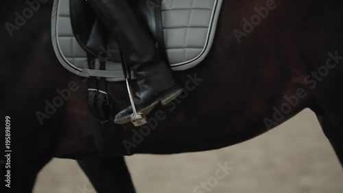 Professional horsewoman riding horse in a manege, back view