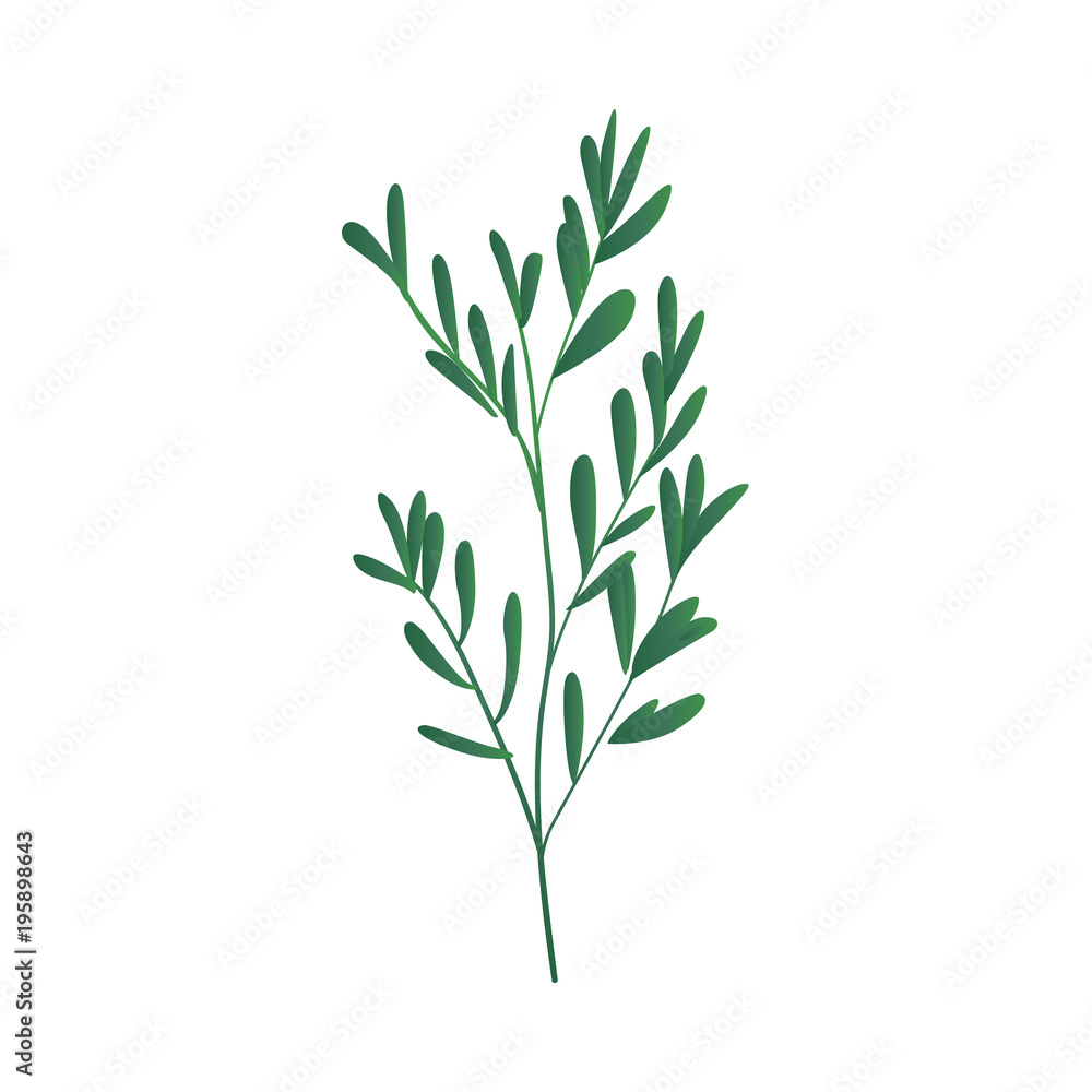 Vector cartoon abstract green plant icon. Wild meadow field grass garden spring easter, women day romantic holiday, wedding invitation card decoration summer floral Illustration white background Vector cartoon abstract green plant icon. Wild meadow field grass garden spring easter, women day romantic holiday, wedding invitation card decoration summer floral Illustration white background