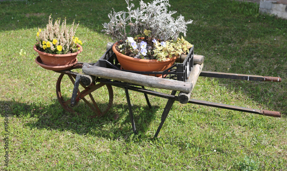 wooden wheelbarrow with colorful flower