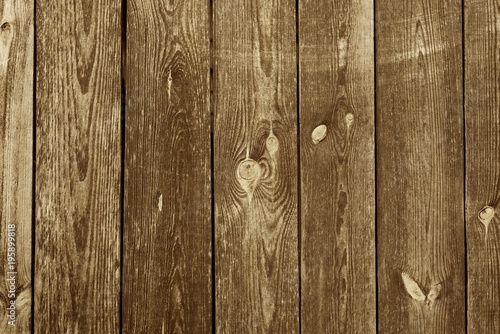 old pine board, texture background