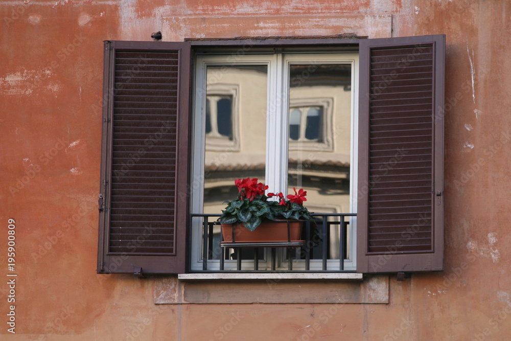 Fototapeta premium window with the flowers italy
