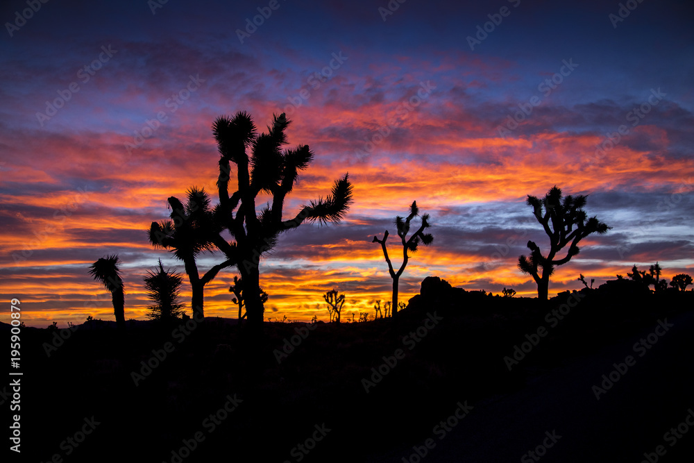 The morning skies over Palm Springs, California erupt in color just before sunrise