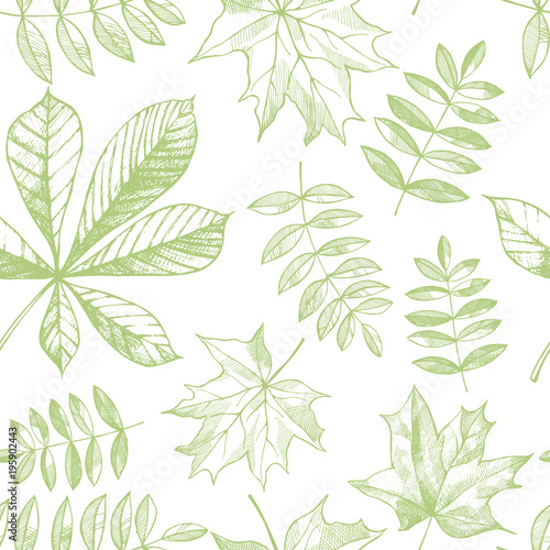  Vector seamless pattern with hand drawn leaves.