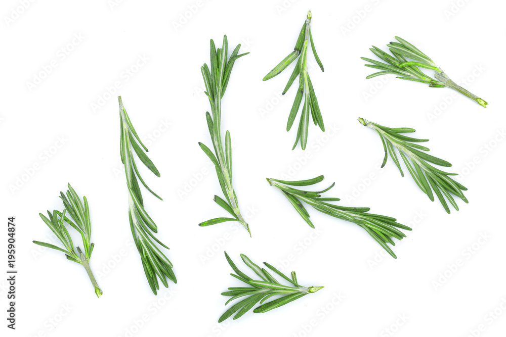 Fresh green rosemary isolated on a white background. Top view. Flat lay