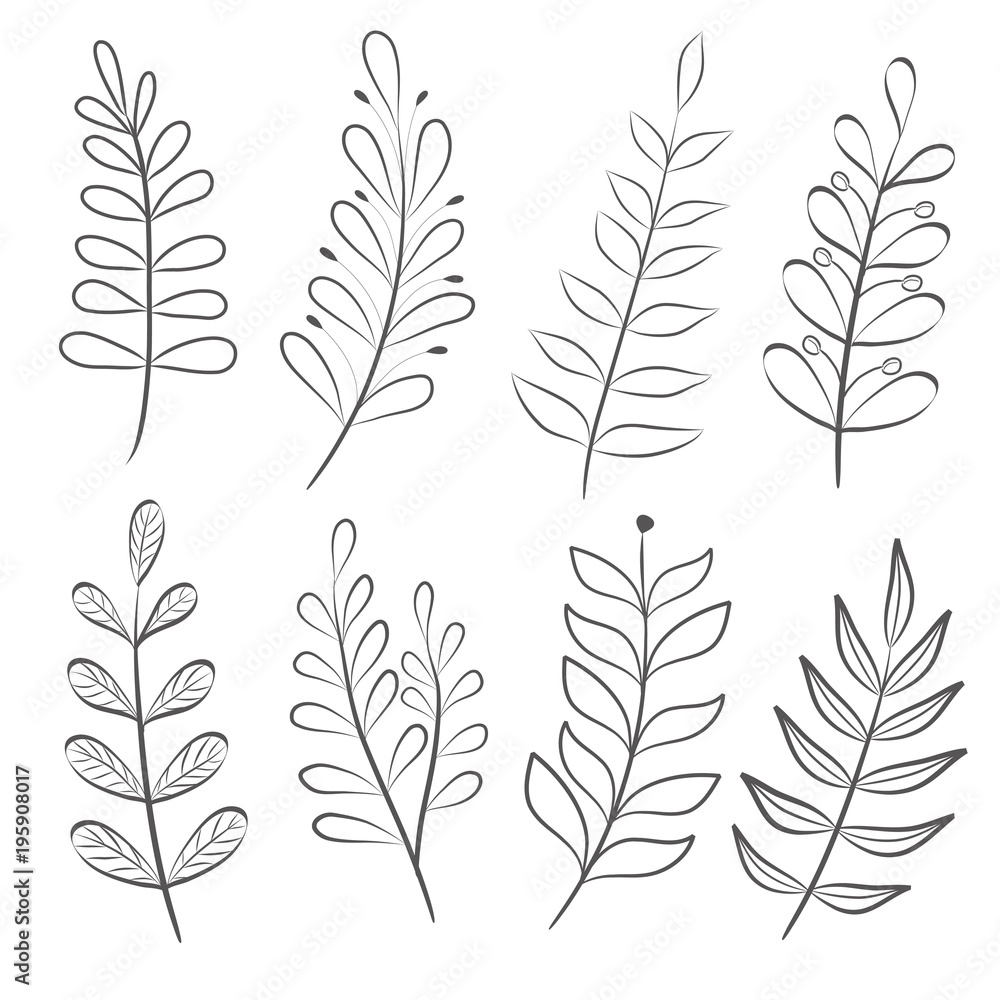 Fototapeta hand drawn set of tree branches, collection of floral elements, stock vector illustration