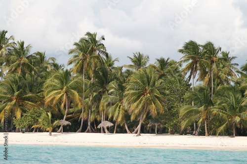 seascape with white sand and green coconut palms and blue ocean water diminican republic © Tetiana