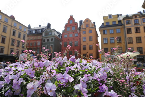 beautiful square of stockholm with flowers sweden
