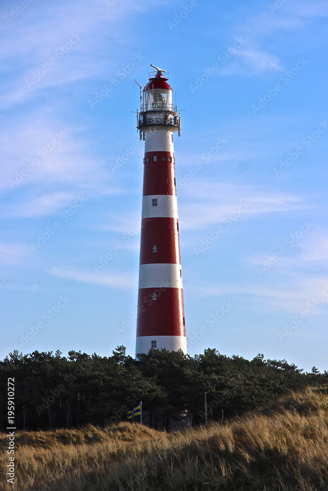 Leuchtturm in einem Wald auf Ameland Leuchtturm in einem Wald auf Ameland