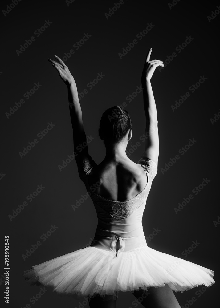 Fototapeta premium Young beautiful ballerina is posing in studio