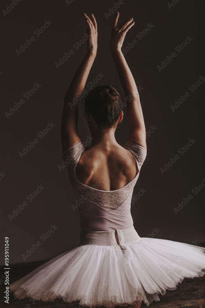 Fototapeta premium Young beautiful ballerina is posing in studio