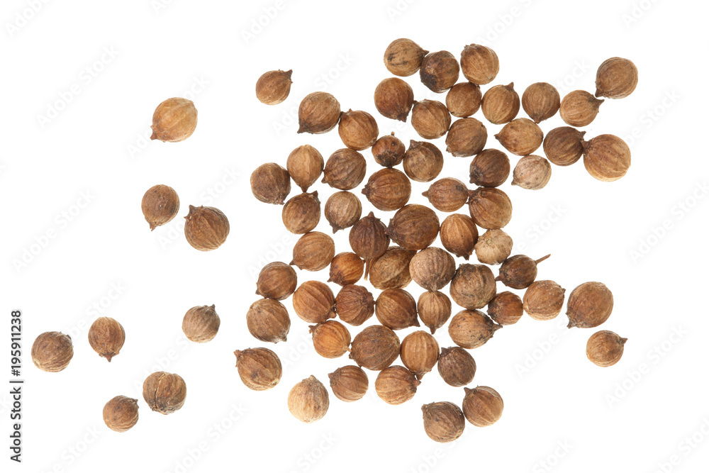 Coriander seeds isolated on white background top view Coriander seeds isolated on white background top view