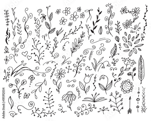 Foto Set of hand drawn vector floral elements