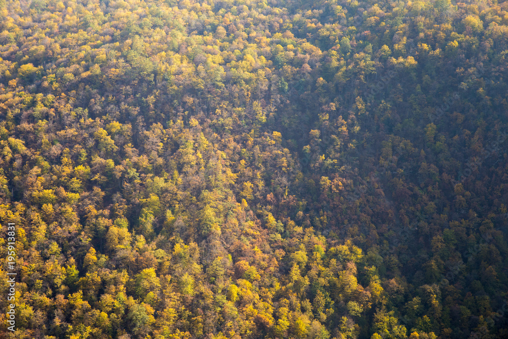 Obraz premium Aliabad Katoul Forest, Golestan, Iran