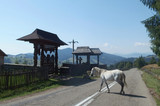 Rumunia, Bukowina - drewniane ozdobne bramy i biały koń na drodze