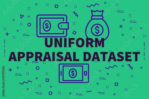 Conceptual business illustration with the words uniform appraisal dataset