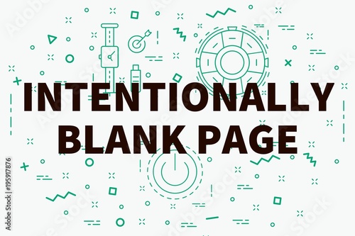 Conceptual business illustration with the words intentionally blank page