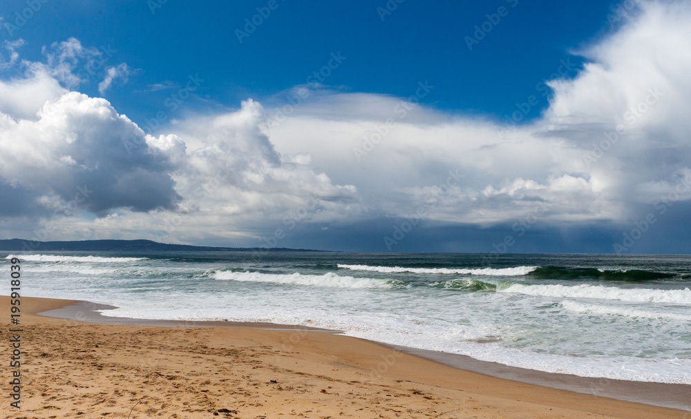 Marina State Beach