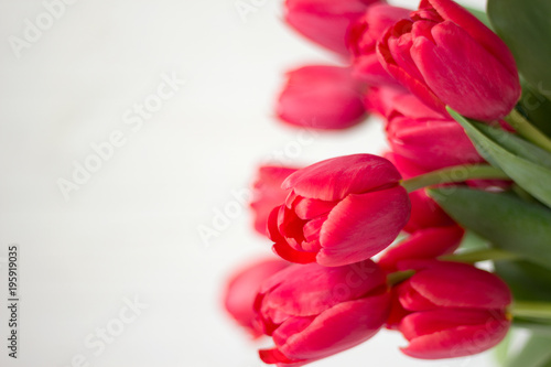 Fototapeta Naklejka Na Ścianę i Meble -  Large bouquet of pink tulips on white background. Selective focus.