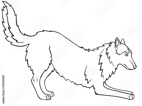 Siberian Husky, Alaskan Malamute. The dog is playing. Line drawing. For coloring