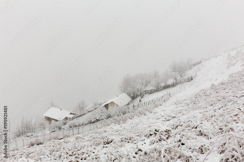Fototapeta premium Cold Filband, Mazandaran, Iran