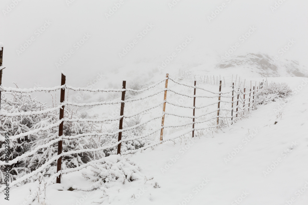 Fototapeta premium Fence in Countryside, Mazandaran, Iran