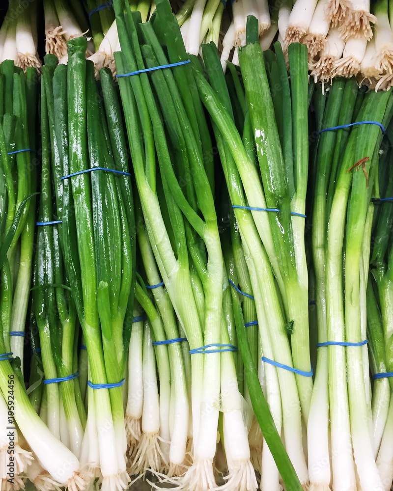 Fototapeta premium green onion garden fresh vegetable