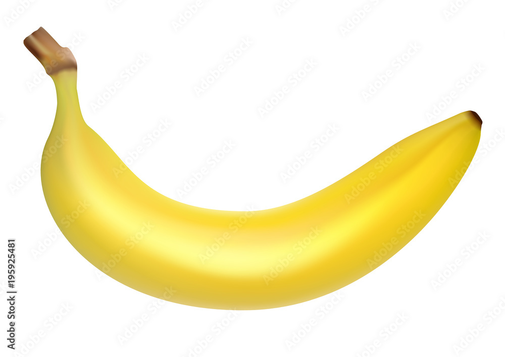 Vector illustration, one ripe yellow realistic banana isolated on white background