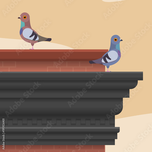 Roof top on a brick wall with pigeons. Vector flat illustration