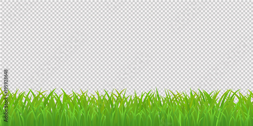 Green Grass Border, Isolated on Transparent Background. Vector Illustration