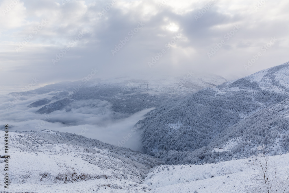 Obraz premium Hyrcania in Winter, Mazandaran, Iran