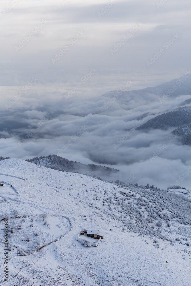 Fototapeta premium Alone in Winter, Mazandaran, Iran