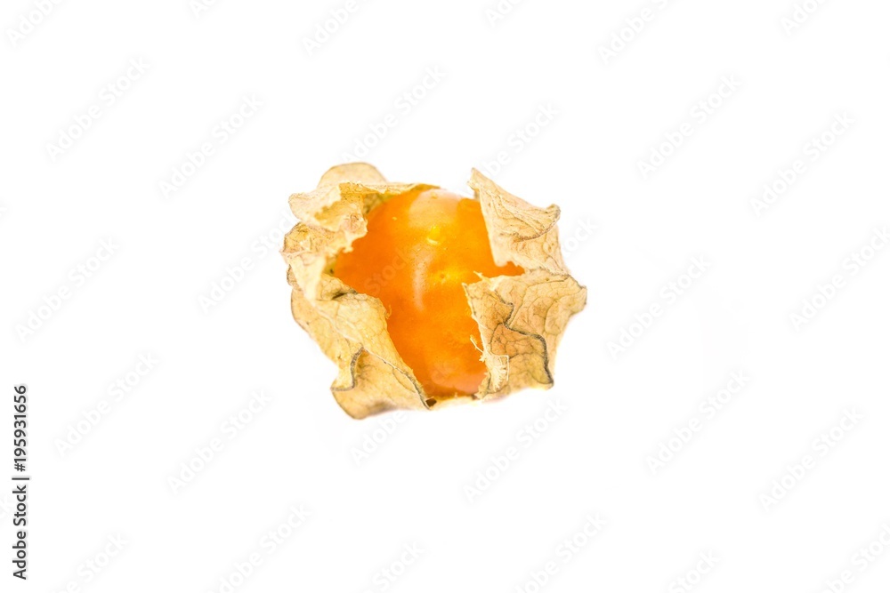ripe physalis isolated on white background ripe physalis isolated on white background