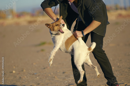 Woman playing with her dogs on a beach photo